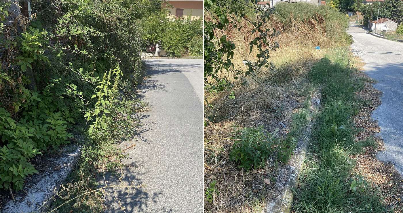 Πνιγμένη στα χόρτα η Αιανή- «Αμαζόνιος» η Ιστορική Έδρα του Δήμου Κοζάνης(βίντεο&φωτογραφίες)