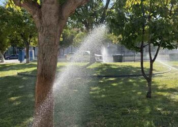 Ένα αυτόματο πότισμα ψεκάζει νερό σε ένα καταπράσινο γκαζόν με δέντρα στο Αμύνταιο, βελτιώνοντας το πράσινο και τη βιώσιμη διαχείριση του νερού.