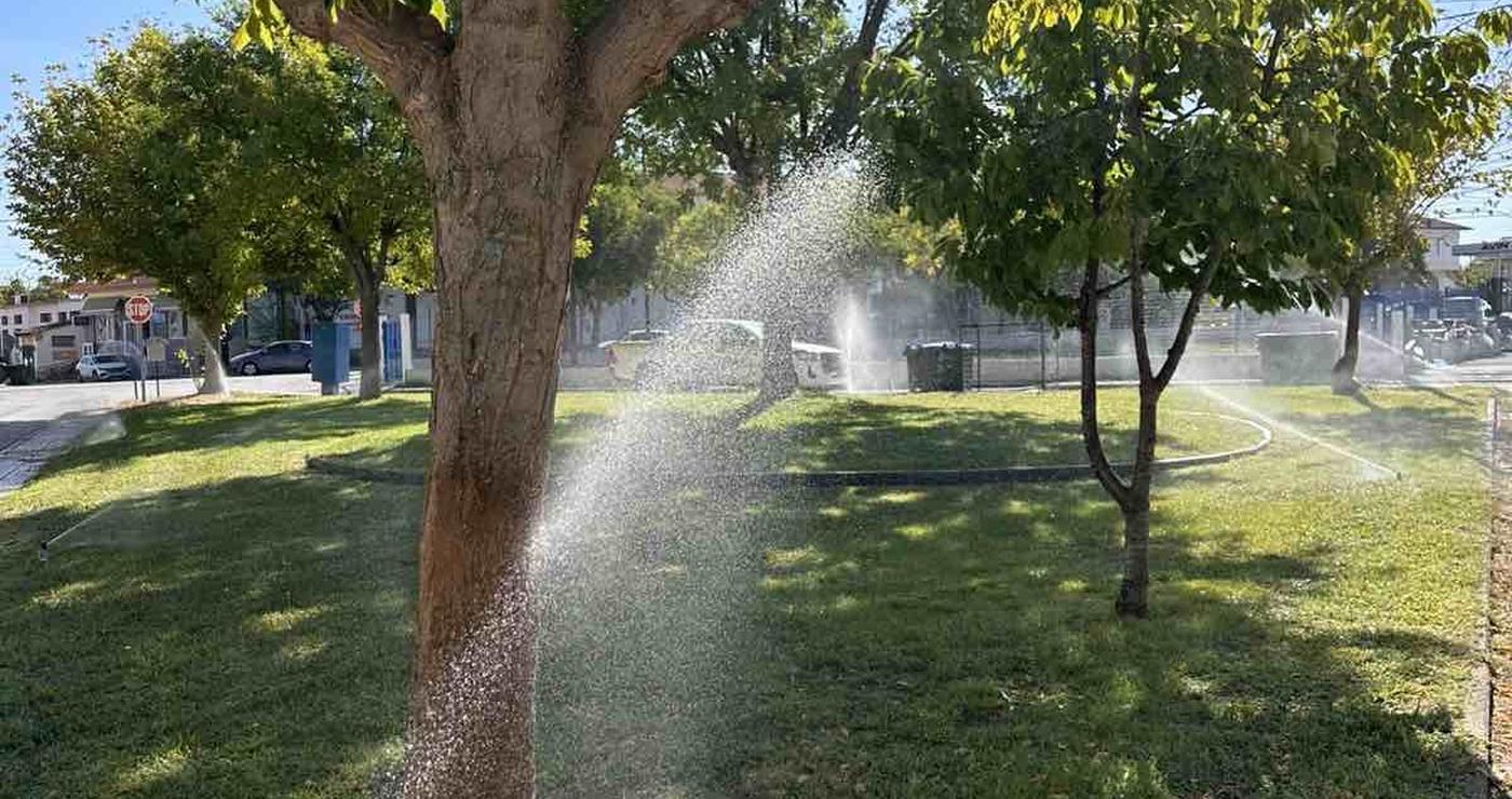 Ένα αυτόματο πότισμα ψεκάζει νερό σε ένα καταπράσινο γκαζόν με δέντρα στο Αμύνταιο, βελτιώνοντας το πράσινο και τη βιώσιμη διαχείριση του νερού.