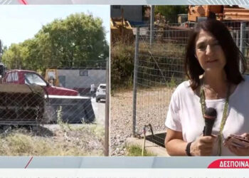 Κοζάνη: Στον Εισαγγελέα ο ιδιοκτήτης μάντρας στο Τσοτύλι με κατηγορίες παράβασης του Νόμου περί όπλων