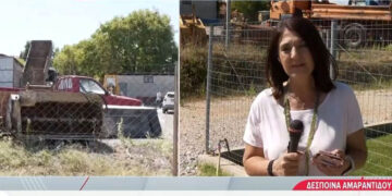 Κοζάνη: Στον Εισαγγελέα ο ιδιοκτήτης μάντρας στο Τσοτύλι με κατηγορίες παράβασης του Νόμου περί όπλων