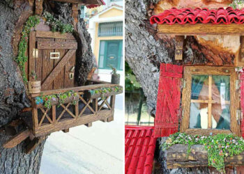 Κορμοί δέντρων γίνονται εντυπωσιακά υπαίθρια γλυπτά από τον Γιώργο Παρίση στη Φλώρινα (Φωτογραφίες)