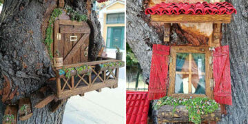 Κορμοί δέντρων γίνονται εντυπωσιακά υπαίθρια γλυπτά από τον Γιώργο Παρίση στη Φλώρινα (Φωτογραφίες)