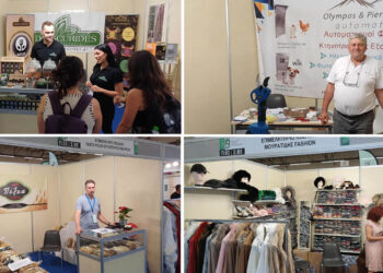 Με δυναμική παρουσία οι επιχειρήσεις του Επιμελητηρίου Κοζάνης στην 89η ΔΕΘ (Φωτογραφίες)