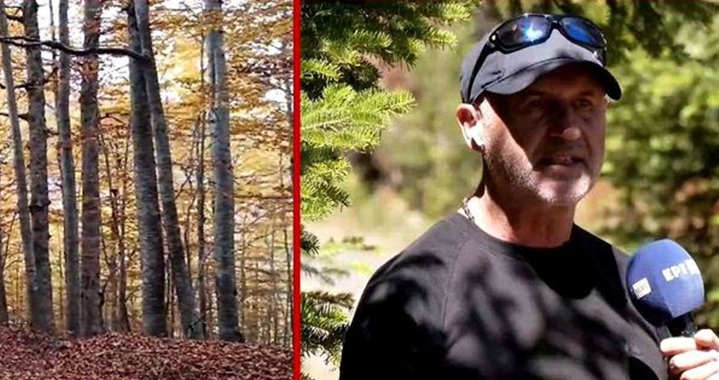 Απόστολος Διανέλλος: Ο “κυνηγός” σπανίων φυτών και βοτάνων στα Γρεβενά (Βίντεο)