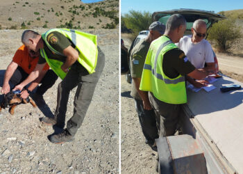 Εορδαία: Εντατικοί έλεγχοι σε κυνηγούς για άδειες, όπλα και τσιπ σκύλων