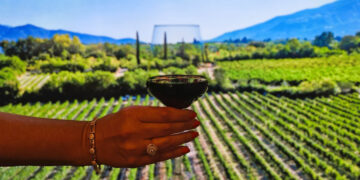 Η Δυτική Μακεδονία φιλοξενεί το διεθνές συνέδριο “EnoGastroDEST” για τον οινογαστρονομικό τουρισμό