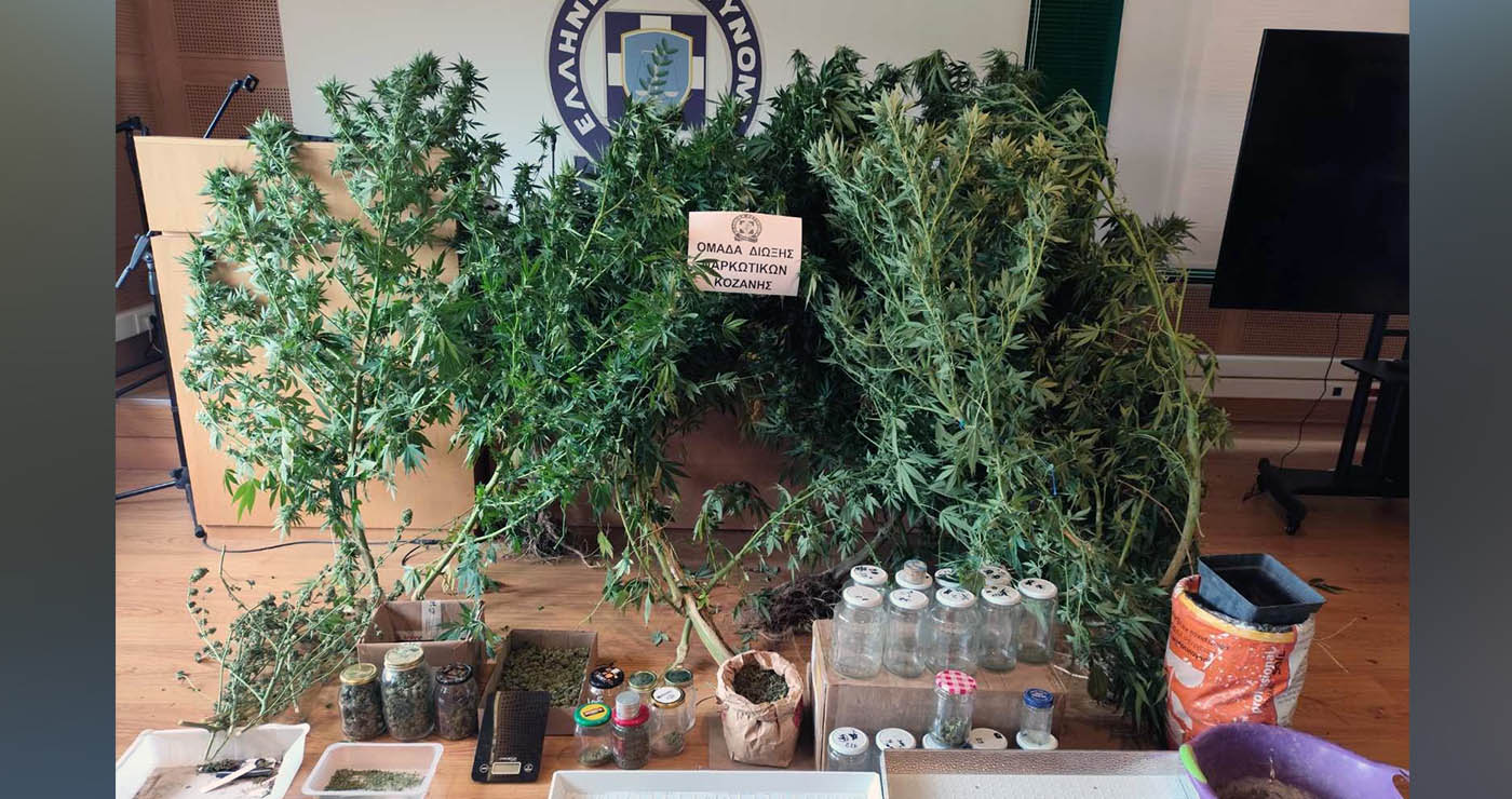 Κοζάνη: Συνελήφθη 65χρονος με εργαστήριο κάνναβης στο σπίτι του – Κατασχέθηκε πάνω από 1 κιλό (Βίντεο)