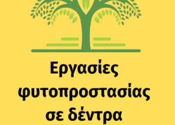 Κοζάνη: Εργασίες φυτοπροστασίας σε δέντρα – Δείτε σε ποιες περιοχές