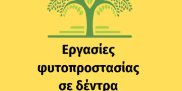 Κοζάνη: Εργασίες φυτοπροστασίας σε δέντρα – Δείτε σε ποιες περιοχές