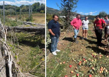 Αυτοψία στις κατεστραμμένες καλλιέργειες της Καστοριάς από Σαββόπουλο και Χαρούμενο μαζί με κλιμάκιο του ΕΛΓΑ