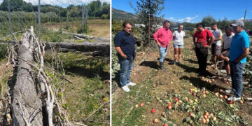Αυτοψία στις κατεστραμμένες καλλιέργειες της Καστοριάς από Σαββόπουλο και Χαρούμενο μαζί με κλιμάκιο του ΕΛΓΑ