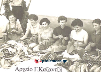 Καπνός το Βασικό στήριγμα του αγρότη, στη γεωργοκτηνοτροφική, Πτολεμαΐδα-Εορδαία, του παρελθόντος…- Από τη στήλη του Γ. Καζαντζή στον ΠΑΛΜΟ