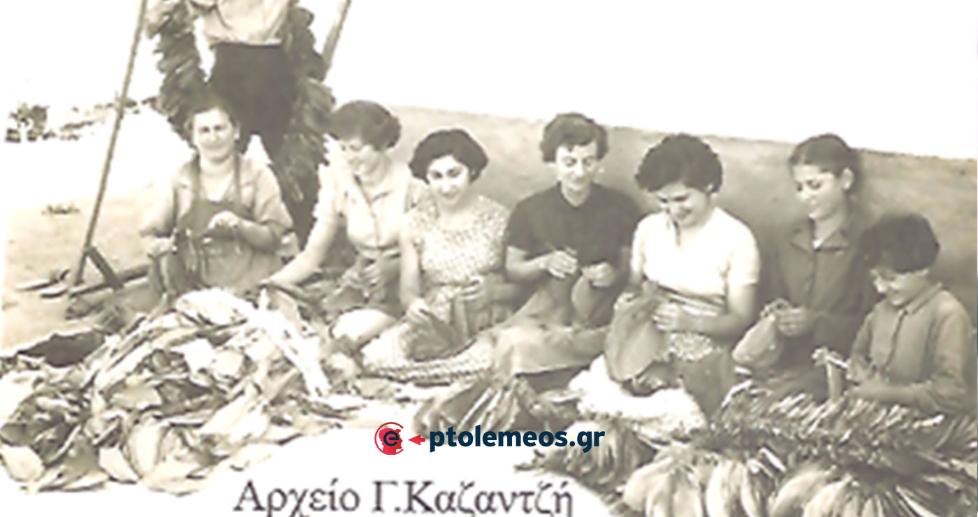 Καπνός το Βασικό στήριγμα του αγρότη, στη γεωργοκτηνοτροφική, Πτολεμαΐδα-Εορδαία, του παρελθόντος…- Από τη στήλη του Γ. Καζαντζή στον ΠΑΛΜΟ