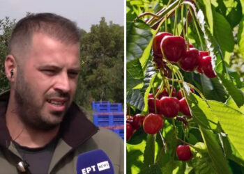 Κ. Λωτίδης: “Κοινό μυστικό το σκάνδαλο ΟΠΕΚΕΠΕ – Μας έκοψαν την επιδότηση στα μήλα και μοίραζαν εκατομμύρια”