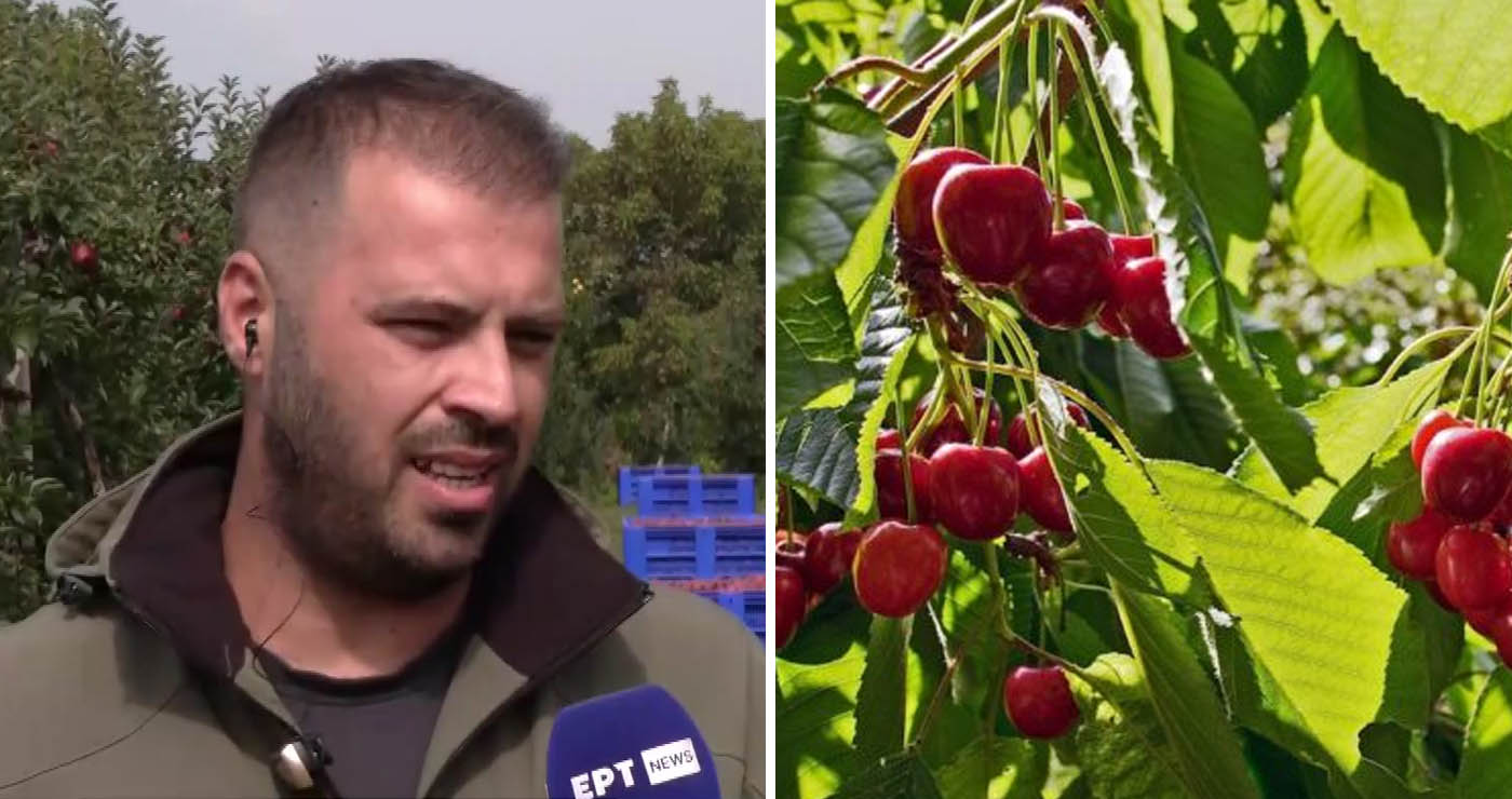 Κ. Λωτίδης: “Κοινό μυστικό το σκάνδαλο ΟΠΕΚΕΠΕ – Μας έκοψαν την επιδότηση στα μήλα και μοίραζαν εκατομμύρια”