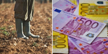 ΟΠΕΚΕΠΕ: 72χρονος από την Κοζάνη έβγαλε 1 εκατομμύριο – Το πάρτι με τις επιδοτήσεις