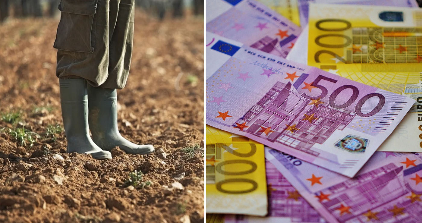 ΟΠΕΚΕΠΕ: 72χρονος από την Κοζάνη έβγαλε 1 εκατομμύριο – Το πάρτι με τις επιδοτήσεις