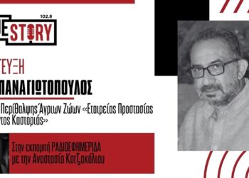 Ν. Παναγιωτόπουλος: Πρέπει να κατανοήσουμε τους κανόνες και τα όρια ενός άγριου ζώου