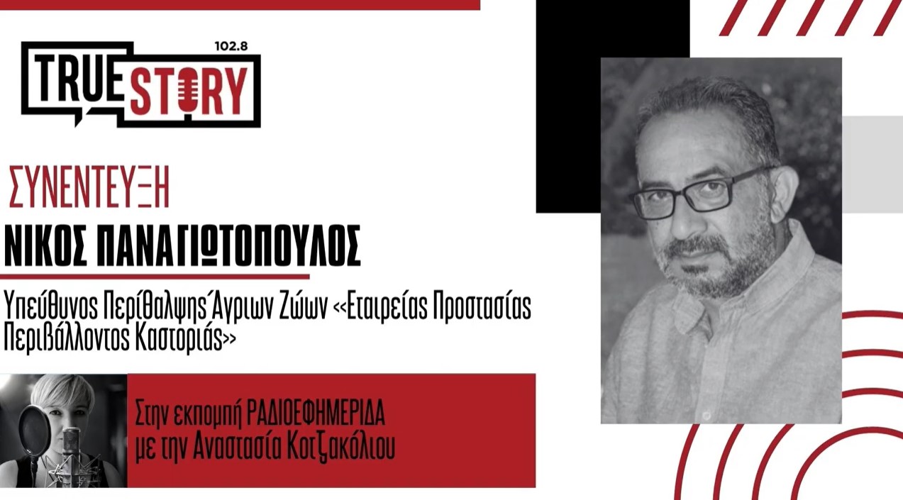 Ν. Παναγιωτόπουλος: Πρέπει να κατανοήσουμε τους κανόνες και τα όρια ενός άγριου ζώου