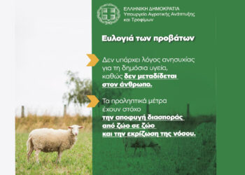 Τι πρέπει να γνωρίζουν οι κτηνοτρόφοι για τον περιορισμό της ευλογιάς των προβάτων – Ενημέρωση από το ΥΠΑΑΤ