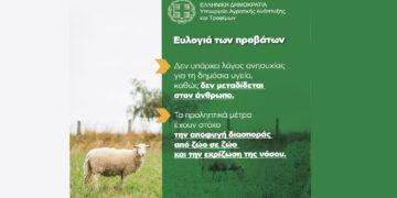 Τι πρέπει να γνωρίζουν οι κτηνοτρόφοι για τον περιορισμό της ευλογιάς των προβάτων – Ενημέρωση από το ΥΠΑΑΤ