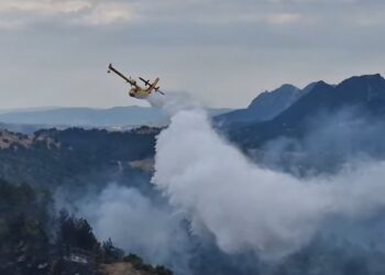 Σε εξέλιξη δασική πυρκαγιά σε περιοχή ανάμεσα σε Δοτσικό και Πεντάλοφο – Στη μάχη και εναέρια μέσα