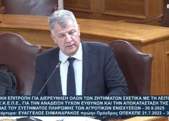 «Δεν ασχολήθηκα ποτέ με δηλώσεις ΟΣΔΕ- Δέχθηκα πιέσεις να πληρώσω μπλοκαρισμένα ΑΦΜ- Δεν έχω καμία σχέση με τη Σεμερτζίδου»- Η κατάθεση Σημανδράκου στην εξεταστική