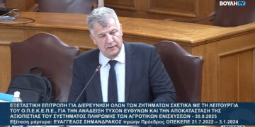 «Δεν ασχολήθηκα ποτέ με δηλώσεις ΟΣΔΕ- Δέχθηκα πιέσεις να πληρώσω μπλοκαρισμένα ΑΦΜ- Δεν έχω καμία σχέση με τη Σεμερτζίδου»- Η κατάθεση Σημανδράκου στην εξεταστική