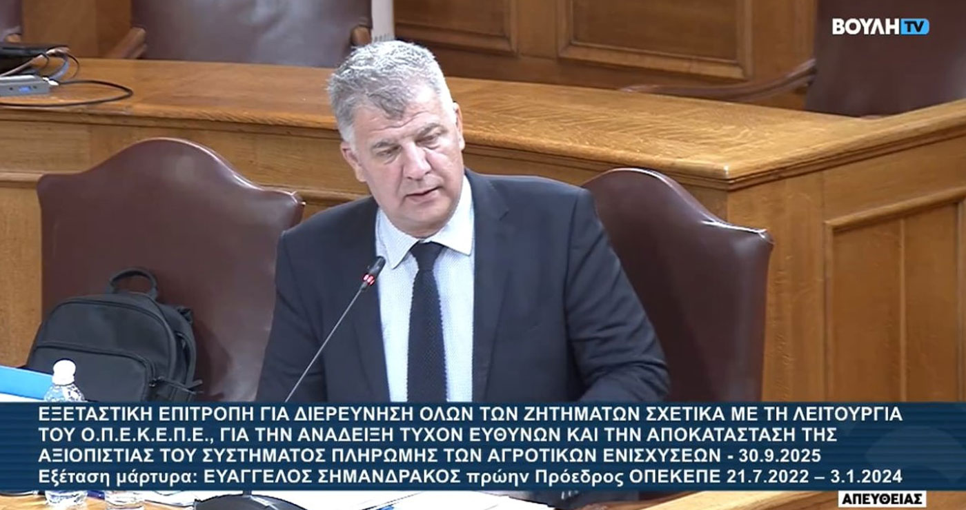 «Δεν ασχολήθηκα ποτέ με δηλώσεις ΟΣΔΕ- Δέχθηκα πιέσεις να πληρώσω μπλοκαρισμένα ΑΦΜ- Δεν έχω καμία σχέση με τη Σεμερτζίδου»- Η κατάθεση Σημανδράκου στην εξεταστική