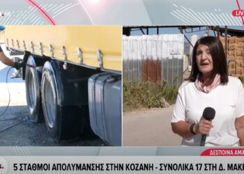 Πέντε σταθμοί απολύμανσης στο Ν. Κοζάνης για τον περιορισμό της ευλογιάς των αιγοπροβάτων