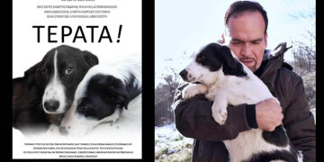 «Τέρατα!», η νέα ταινία του Νίκου Κουρού – trailer