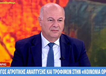 Τσιάρας: Δεν δικαιολογούνται ανατιμήσεις στο κρέας – Κάποιοι κρύβουν κρούσματα ευλογιάς κι έτσι εξαπλώνεται η νόσος