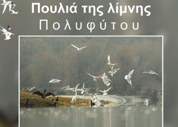 Κοζάνη: Παρουσιάζεται το φωτογραφικό project του καταξιωμένου φωτογράφου Δ. Βαβλιάρα