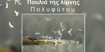 Κοζάνη: Παρουσιάζεται το φωτογραφικό project του καταξιωμένου φωτογράφου Δ. Βαβλιάρα