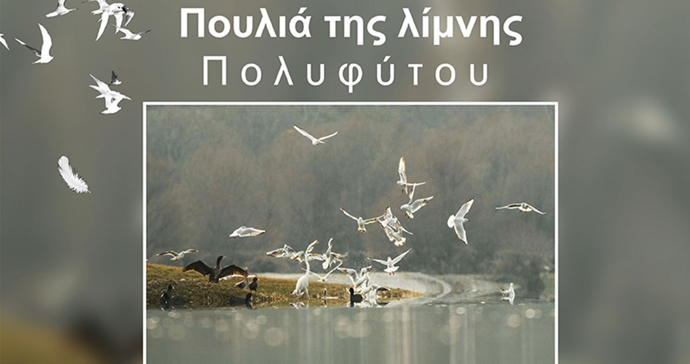 Κοζάνη: Παρουσιάζεται το φωτογραφικό project του καταξιωμένου φωτογράφου Δ. Βαβλιάρα