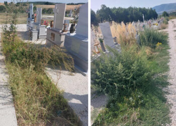 Επισημάνσεις για την κατάσταση της άγριας βλάστησης στα Νέα Κοιμητήρια Πτολεμαΐδας (Φωτογραφίες)