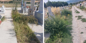 Επισημάνσεις για την κατάσταση της άγριας βλάστησης στα Νέα Κοιμητήρια Πτολεμαΐδας (Φωτογραφίες)