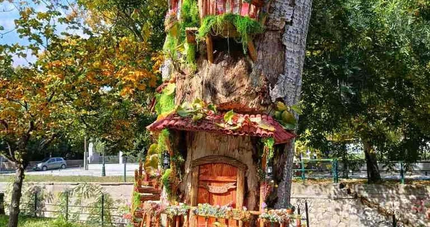 Ένα έργο τέχνης της δράσης Τέχνη Παντού Φλώρινα διακοσμεί τον κορμό ενός δέντρου στην περιοχή Καβάκια, με φόντο φθινοπωρινά δέντρα και ένα γραφικό τοπίο.