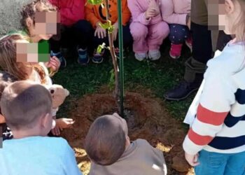 Μια ομάδα νηπίων περιβάλλει ένα νεοφυτεμένο δέντρο στον αύλειο χώρο του 8ου Νηπιαγωγείου στη Φλώρινα, συμμετέχοντας στην φύτευση δέντρων.