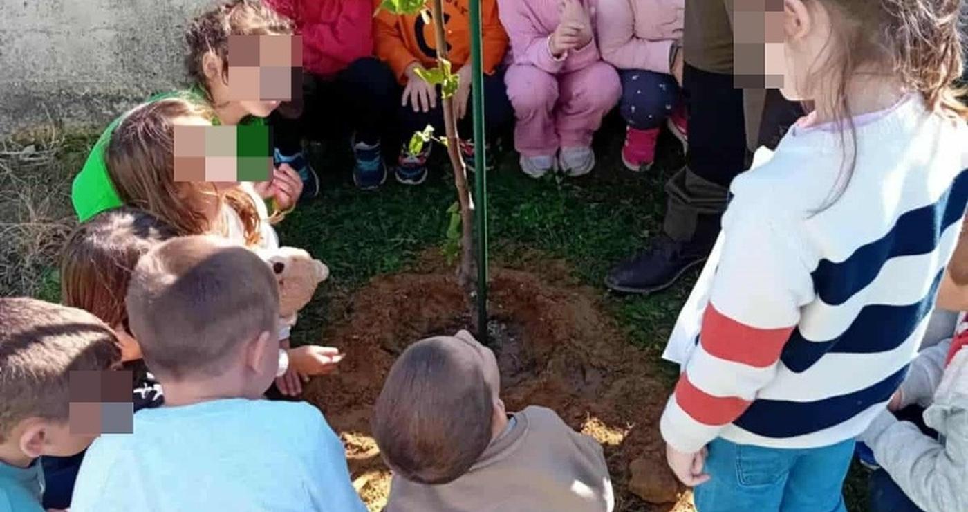 Μια ομάδα νηπίων περιβάλλει ένα νεοφυτεμένο δέντρο στον αύλειο χώρο του 8ου Νηπιαγωγείου στη Φλώρινα, συμμετέχοντας στην φύτευση δέντρων.