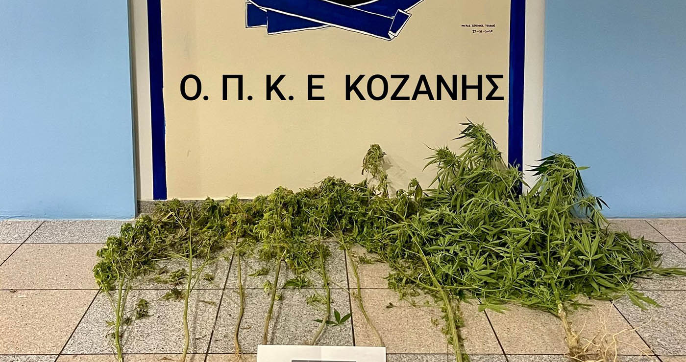 Κοζάνη: Σύλληψη 52χρονου για καλλιέργεια κάνναβης – Κατασχέθηκαν 7 δενδρύλλια