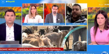 Μόσχος-Πρ. Αγρ. Συλλ. Καστοριάς στο Mega: «Τα Χριστούγεννα δεν θα υπάρχουν ελληνικά αρνιά στην αγορά»