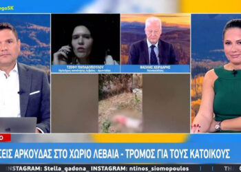 Επιθέσεις αρκούδας στη Λεβαία Αμυνταίου – Τρόμος για τους κατοίκους