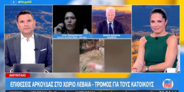 Επιθέσεις αρκούδας στη Λεβαία Αμυνταίου – Τρόμος για τους κατοίκους