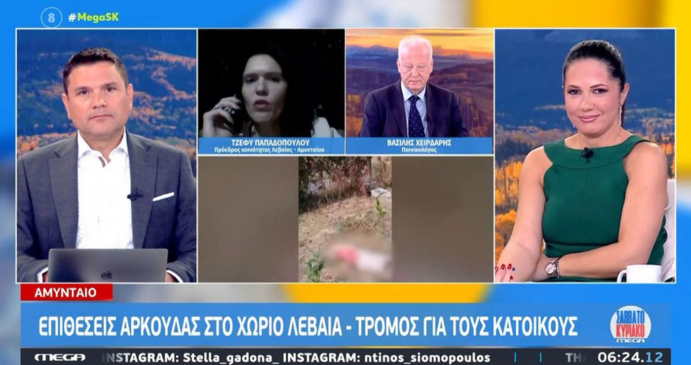 Επιθέσεις αρκούδας στη Λεβαία Αμυνταίου – Τρόμος για τους κατοίκους