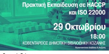 Μια γυναίκα με κόσμημα στο λαιμό εργάζεται σε ένα γραφείο με ένα laptop, συμμετέχοντας σε ένα επιμορφωτικό πρόγραμμα για την ασφάλεια τροφίμων και το ISO 22000 στην Κοζάνη.