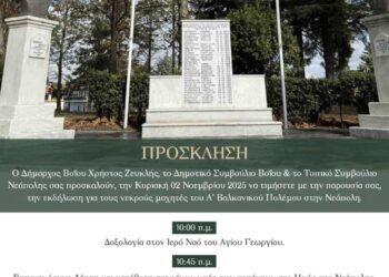 Ένα μνημείο με τα ονόματα των νεκρών μαχητών του Α' Βαλκανικού Πολέμου στην Νεάπολη, το οποίο τιμά ο δήμος Βοΐου.