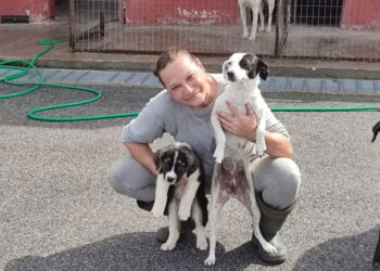 Λειτουργία του Καταφυγίου Αμυνταίου, με αφορμή την Παγκόσμια Ημέρα των Ζώων