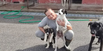 Λειτουργία του Καταφυγίου Αμυνταίου, με αφορμή την Παγκόσμια Ημέρα των Ζώων